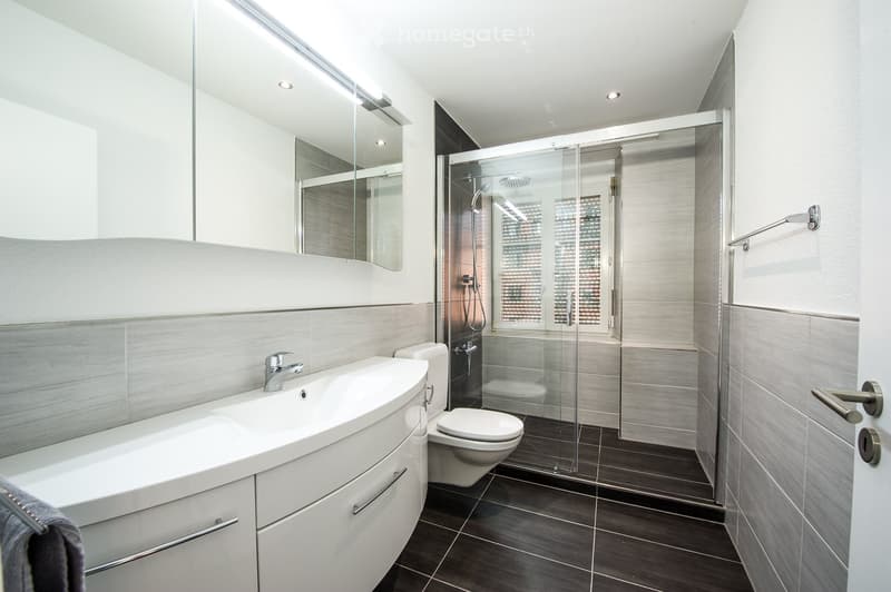 Modern bathroom with a large sink, toilet, glass-enclosed shower, and a large mirror above the sink. The walls are tiled in a combination of white and grey, and the floor is dark tiled.