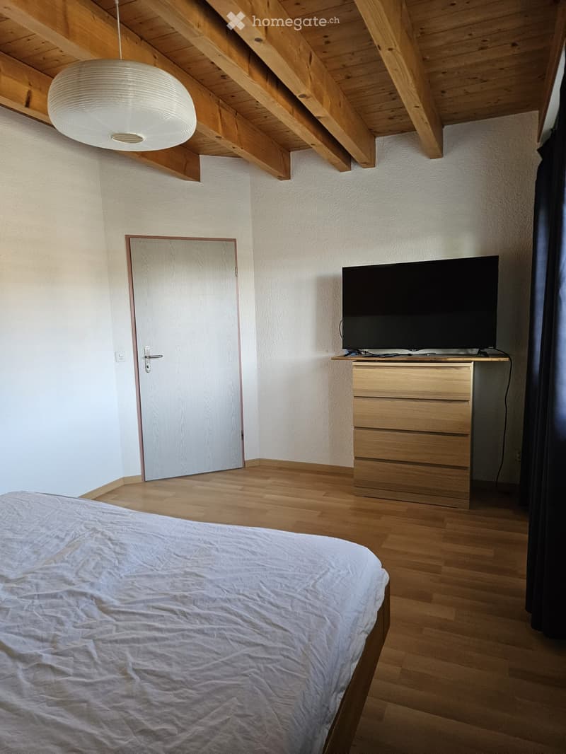 Cozy bedroom with wooden flooring, a neatly made bed, a television on a wooden stand, a mirror, and a pendant light fixture.