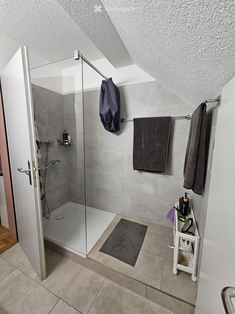 Modern bathroom with a glass-enclosed shower, towel rack, bathroom shelf, and a bath mat.
