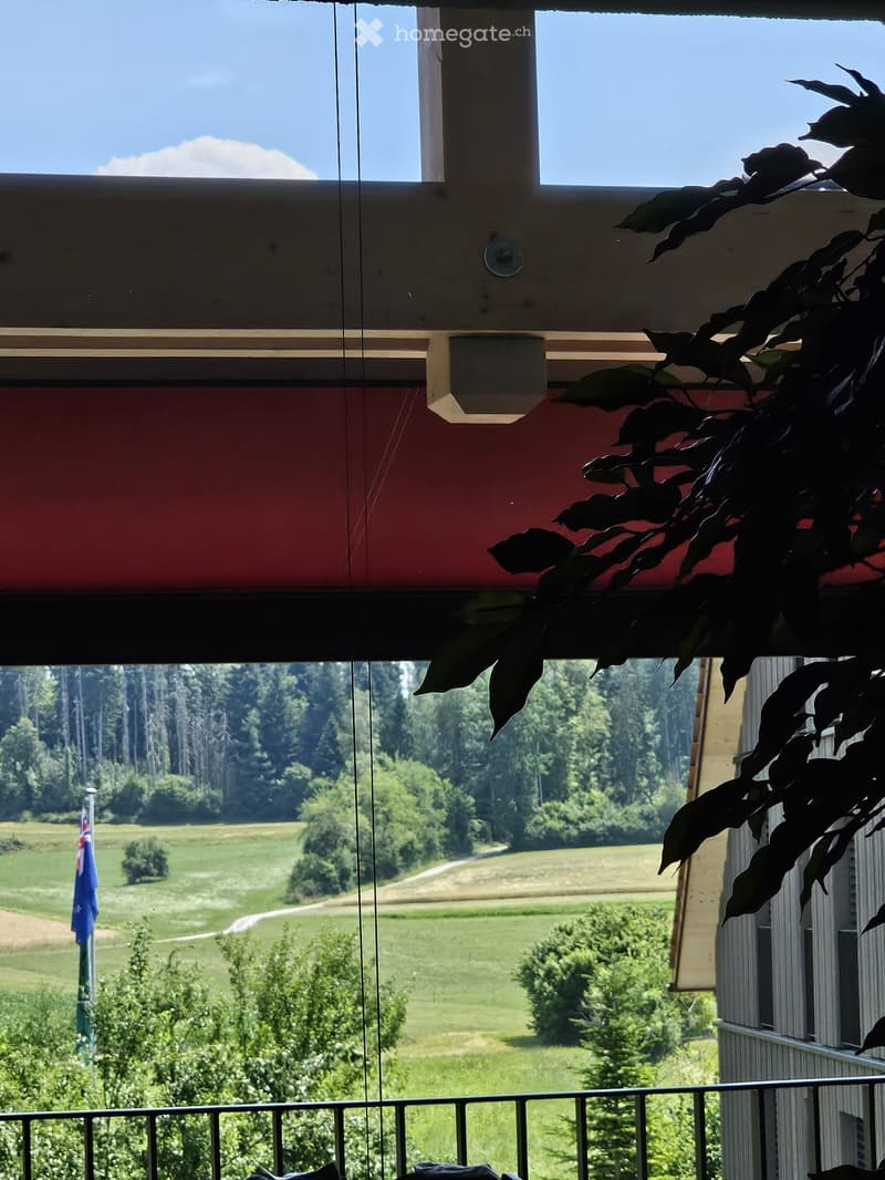 Balcony with a view of a green field, trees, and a flagpole with a flag. The balcony has a metal railing and is partially covered by a plant on the right side.
