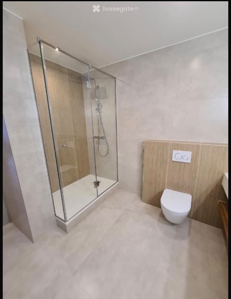 Modern bathroom with a glass-enclosed shower and a toilet, featuring light-colored tiles and a sleek design.