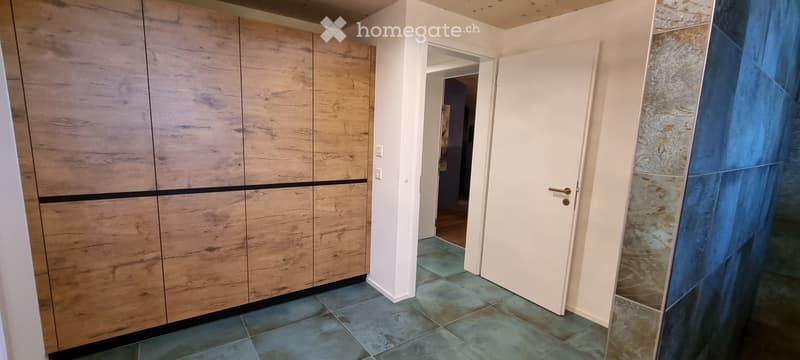 Modern hallway with wooden wardrobe, white door, and blue tiled floor.