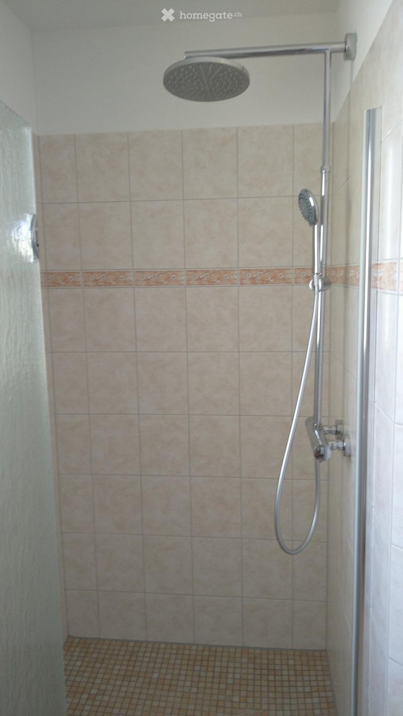 Shower area with beige tiles, a fixed showerhead, and a handheld shower hose.