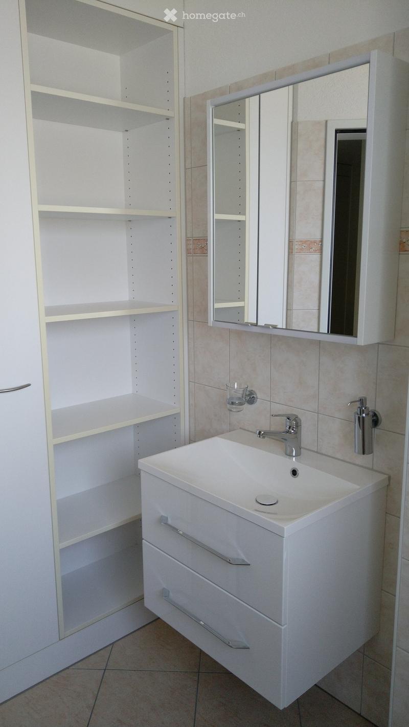Modern bathroom with a white sink, chrome faucet, mirrored cabinet, and built-in shelving unit.