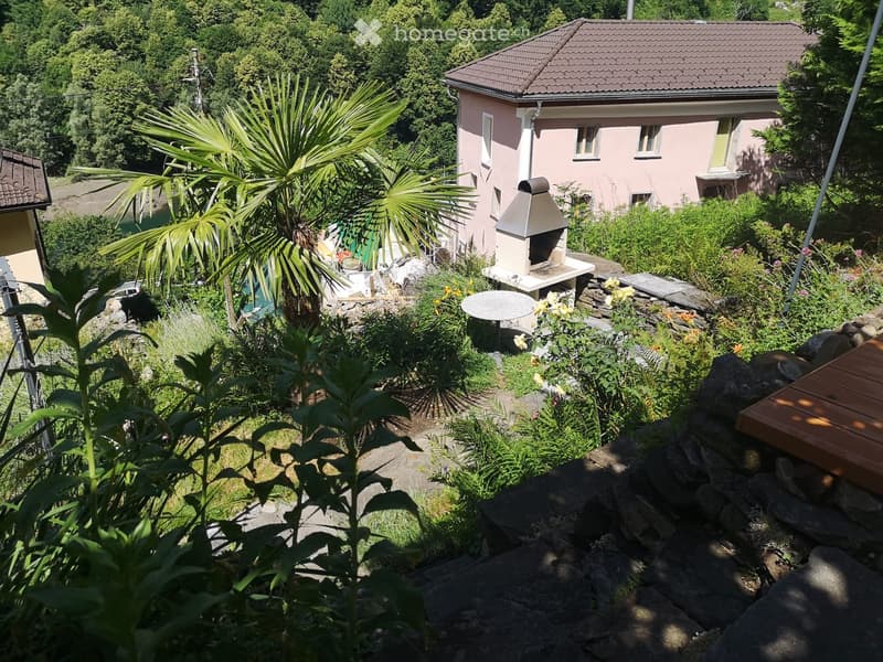 Garden with plants, wooden deck, brick fireplace