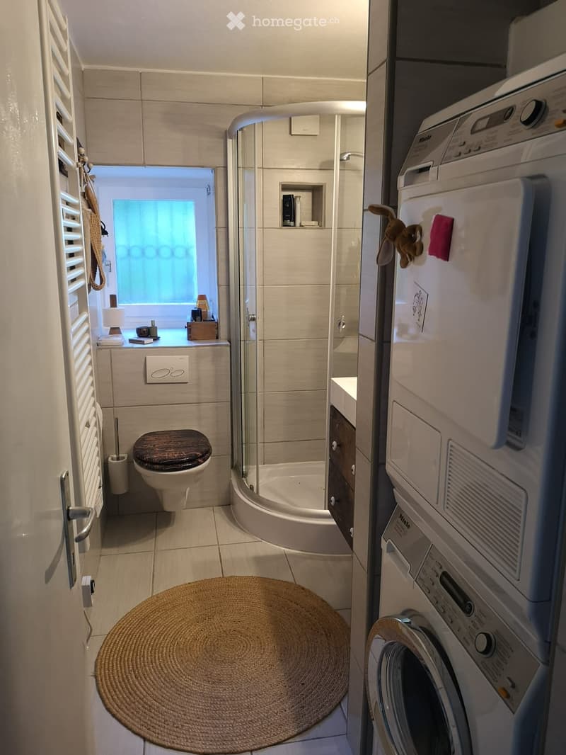 A compact bathroom featuring a glass shower, toilet, and sink area. A round rug adorns the floor, and adjacent is a white washing machine. Next to it is a silver dishwasher.