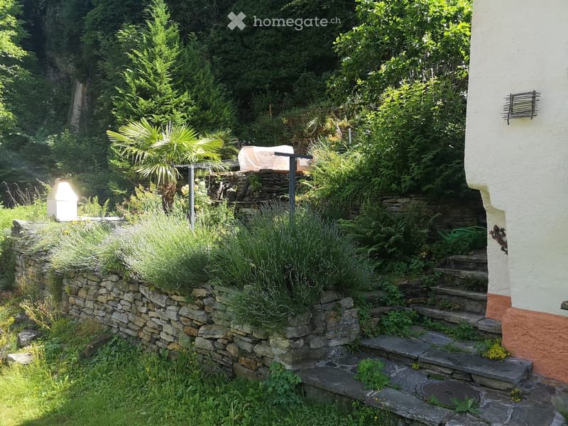 Terraced garden with stone walls, shrubs, plants, stairs, open space for outdoor activities, elevated position.