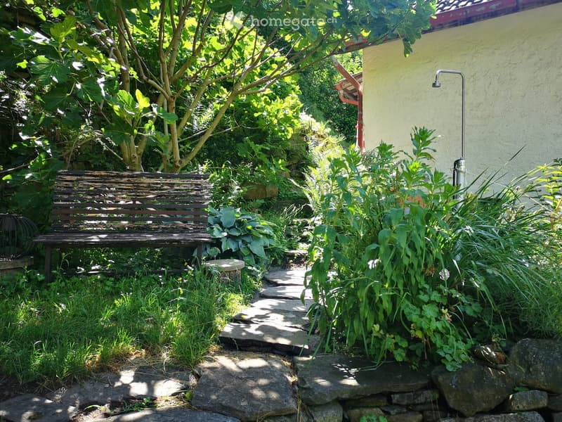 A garden with a wooden bench, stone pathway, outdoor shower, plants, and trees.