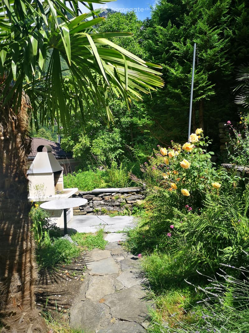 Garden with a stone pathway, outdoor fireplace, stone bench, rose bushes, trees, greenery, and a backdrop of a mountain.
