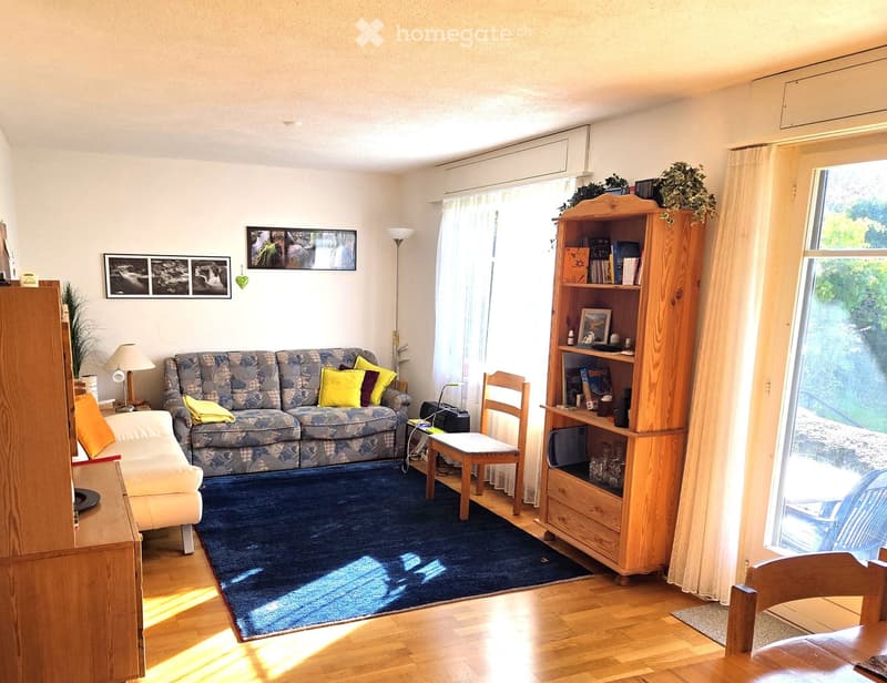 Bright living room with wooden flooring, blue carpet, patterned sofa with colorful cushions, wooden bookshelf, and a small table with a chair.