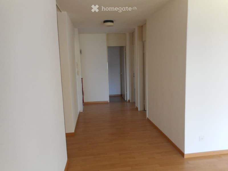 Empty hallway with wooden flooring, white walls, and a ceiling light fixture.