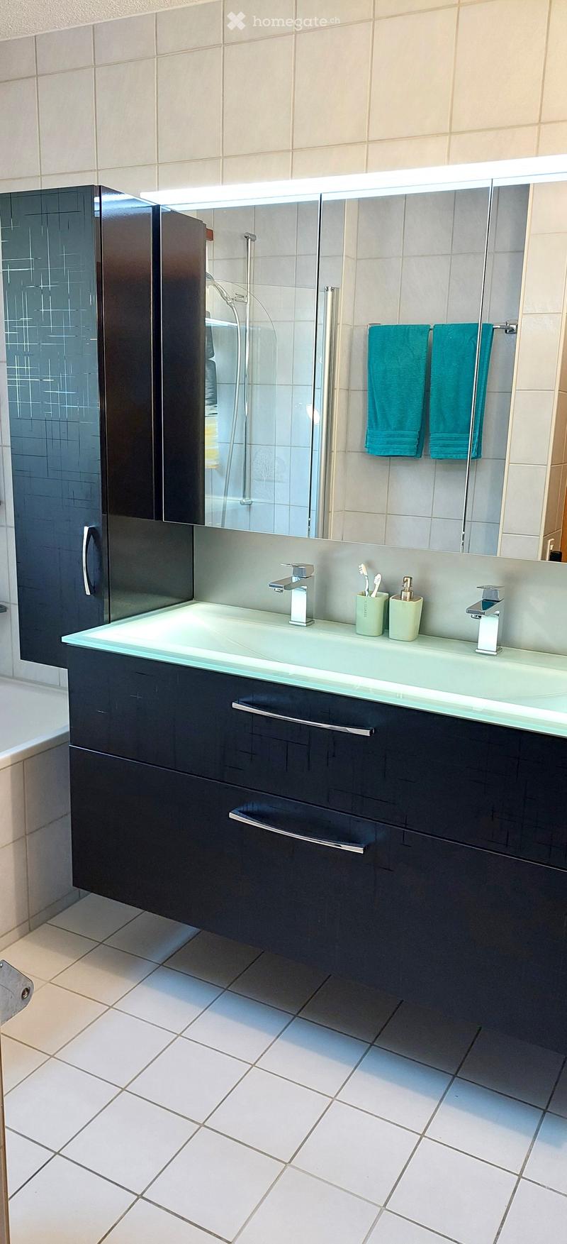Modern bathroom with a large sink, sleek dark cabinets, a mirror with built-in lighting, and a glass-enclosed shower area.