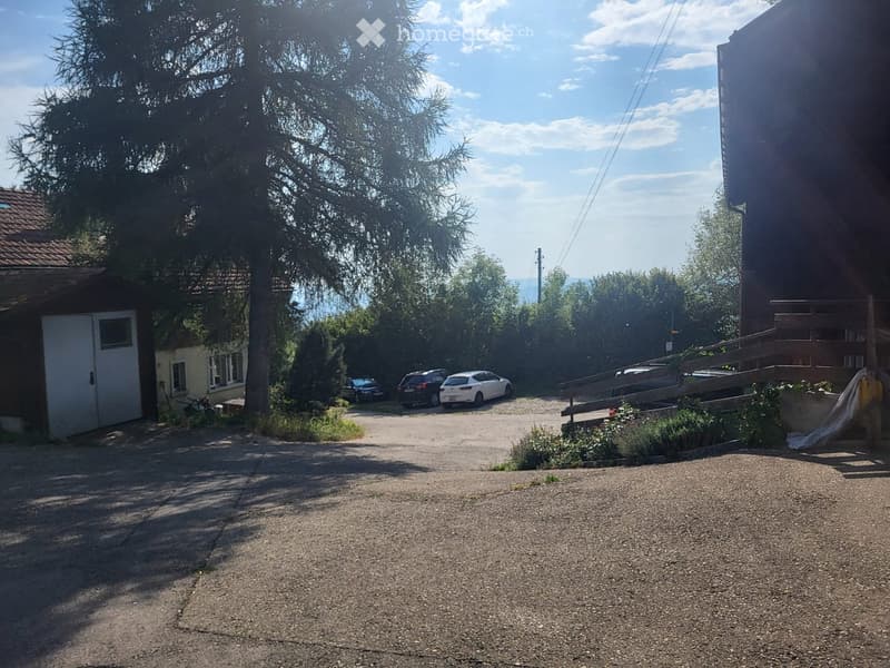 A driveway leading to a house with a garage, surrounded by trees and parked cars.