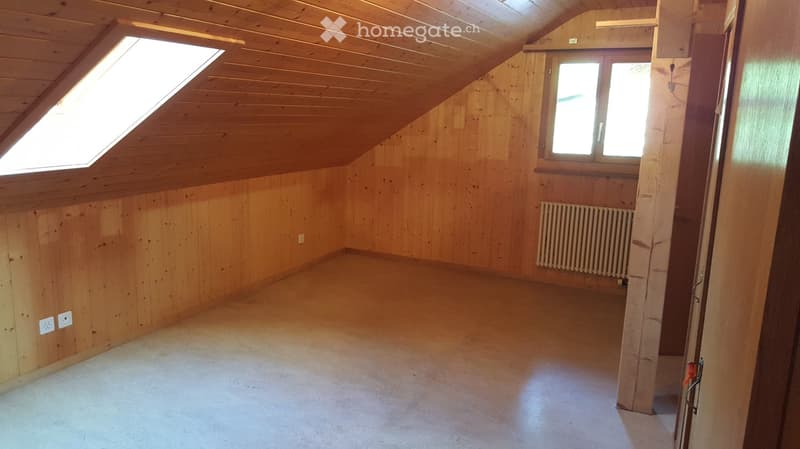 Empty attic room with wooden walls and ceiling, skylight window, and radiator.