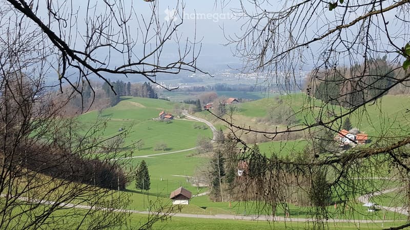 A panoramic view of a rural landscape with green fields, scattered houses, and a winding road, framed by bare tree branches in the foreground.
