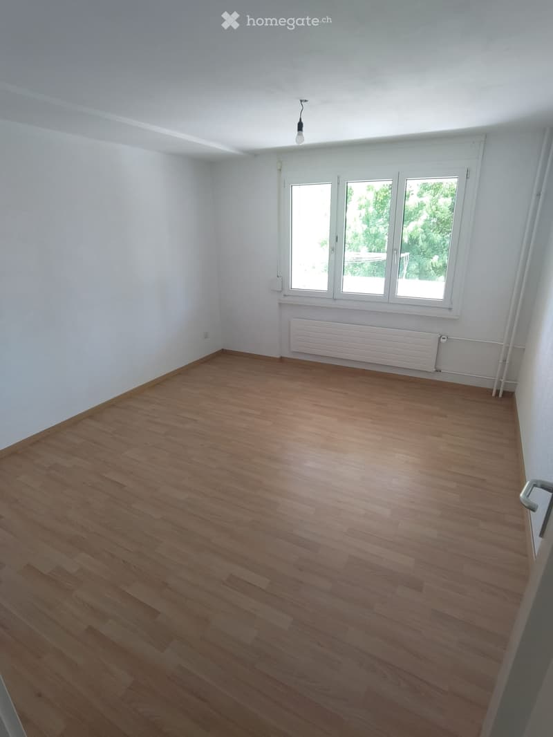 Empty room with wooden flooring, white walls, large windows, radiator, and a single ceiling light fixture.