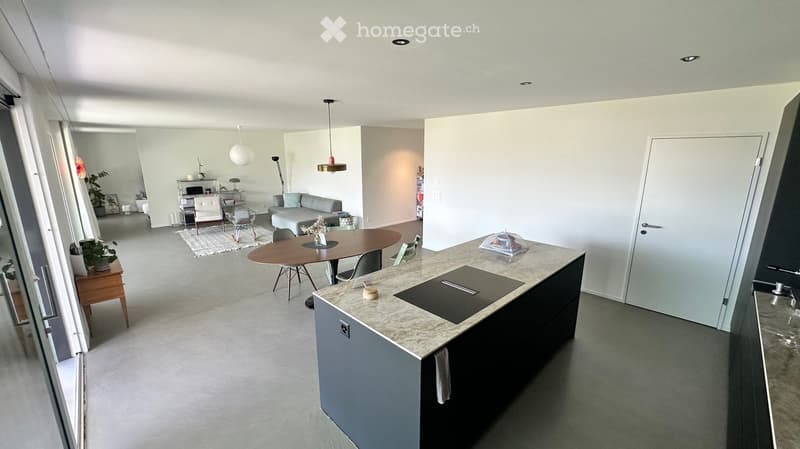 Modern open-plan living and dining area with a grey sofa, coffee table, dining table, chairs, and a kitchen island with a sink and faucet. The space features pendant lights, a plant, and a sleek, contemporary design.