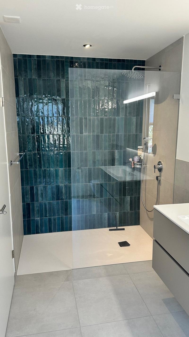 Modern bathroom with a large walk-in shower, dark green tiles, a white sink, and a toilet. The shower features a glass enclosure and a modern showerhead.