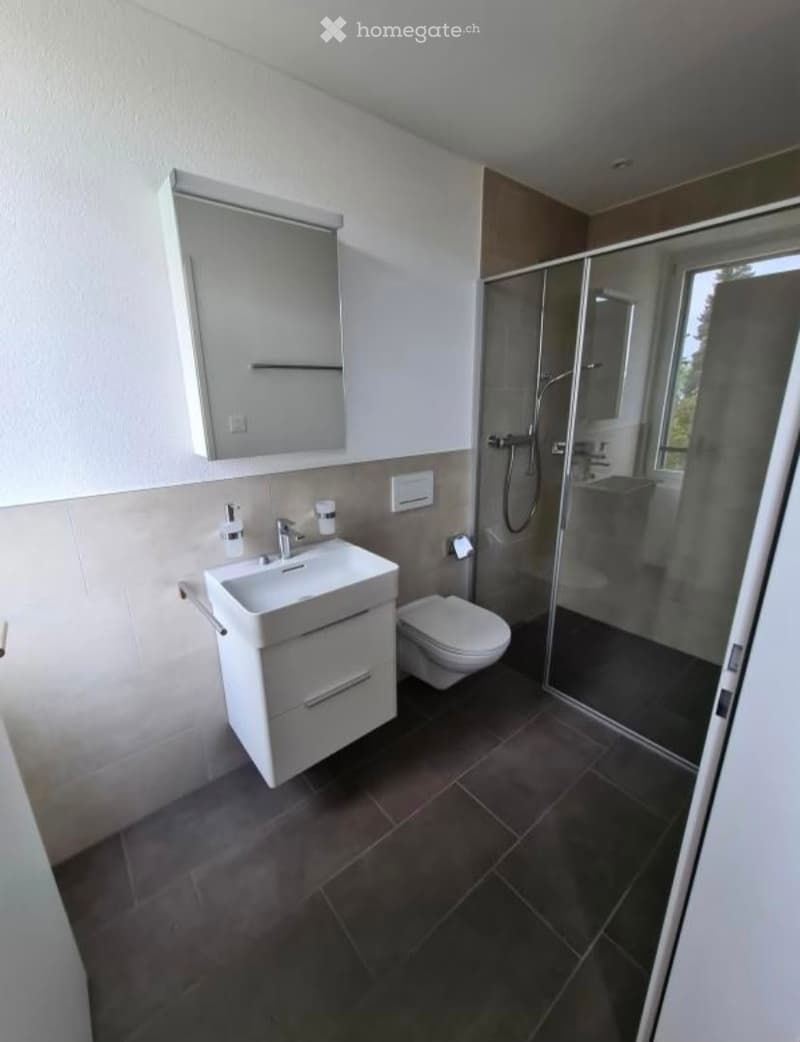 Modern bathroom with a white sink, toilet, mirror, and glass-enclosed shower. Dark tiled floor and light-colored walls.