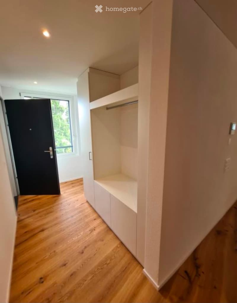 Modern hallway with wooden flooring, built-in white shelving unit, and a black door leading to a room with a window.