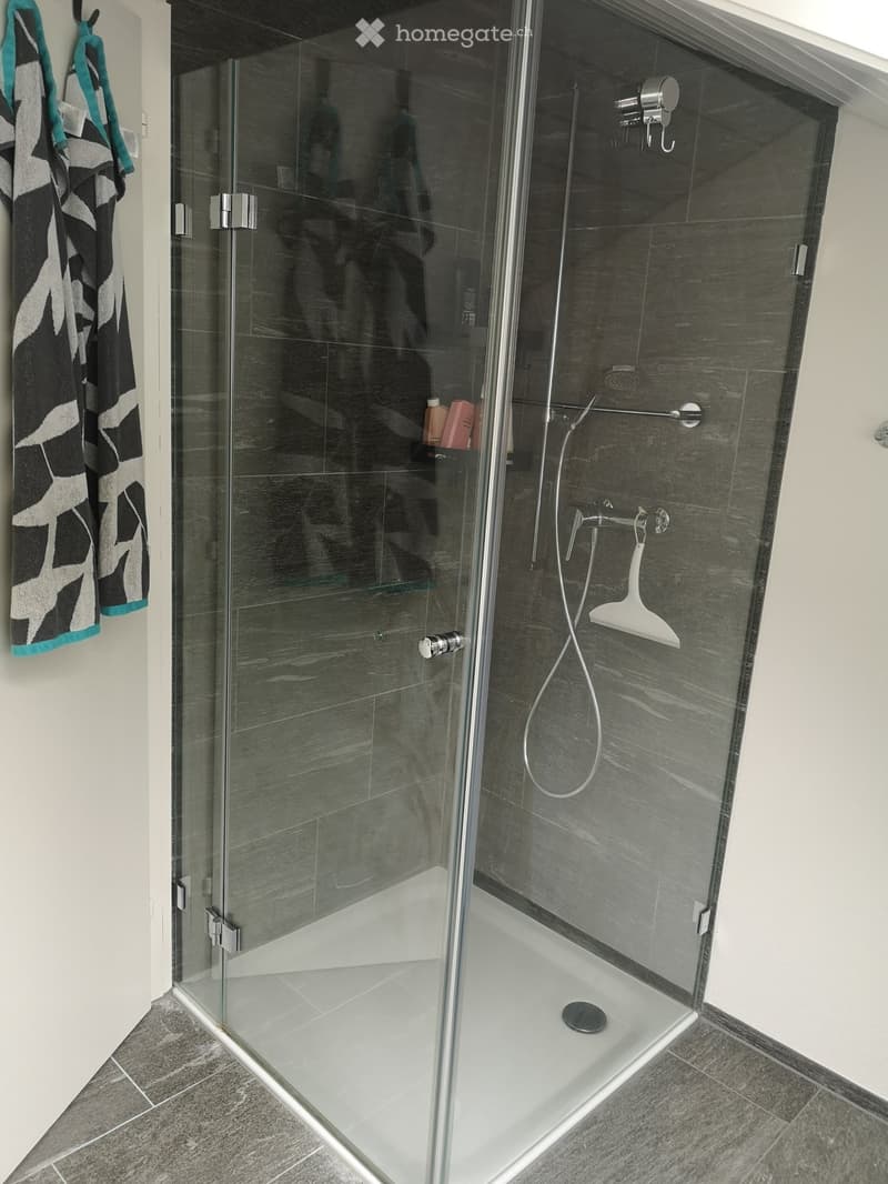 Modern bathroom with a glass-enclosed shower stall, grey tiles, and a white showerhead with handheld sprayer.