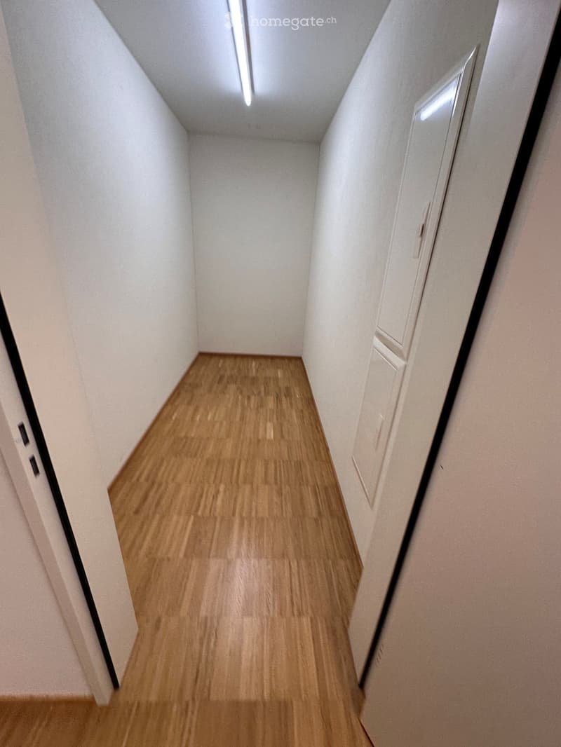 Narrow hallway with wooden flooring and white walls, featuring a built-in closet on one side and a small window at the far end.