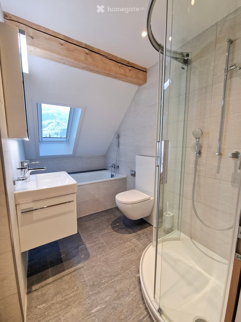 Modern bathroom with a walk-in shower, toilet, sink, and bathtub. Features exposed wooden beams and a skylight window.