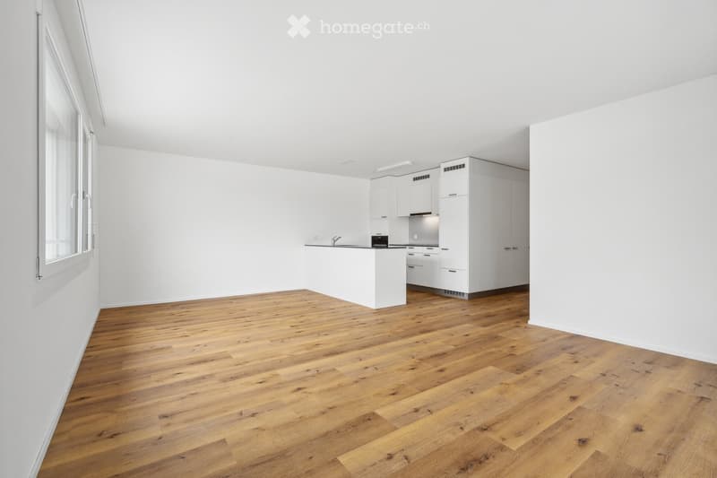 Modern kitchen with white cabinets, wooden flooring, and stainless steel appliances.