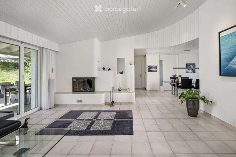 Modern living room with white walls, tiled floor, fireplace, sofa, coffee table, dining area with chairs and table, decorative vases, artwork, and a large plant in a pot.