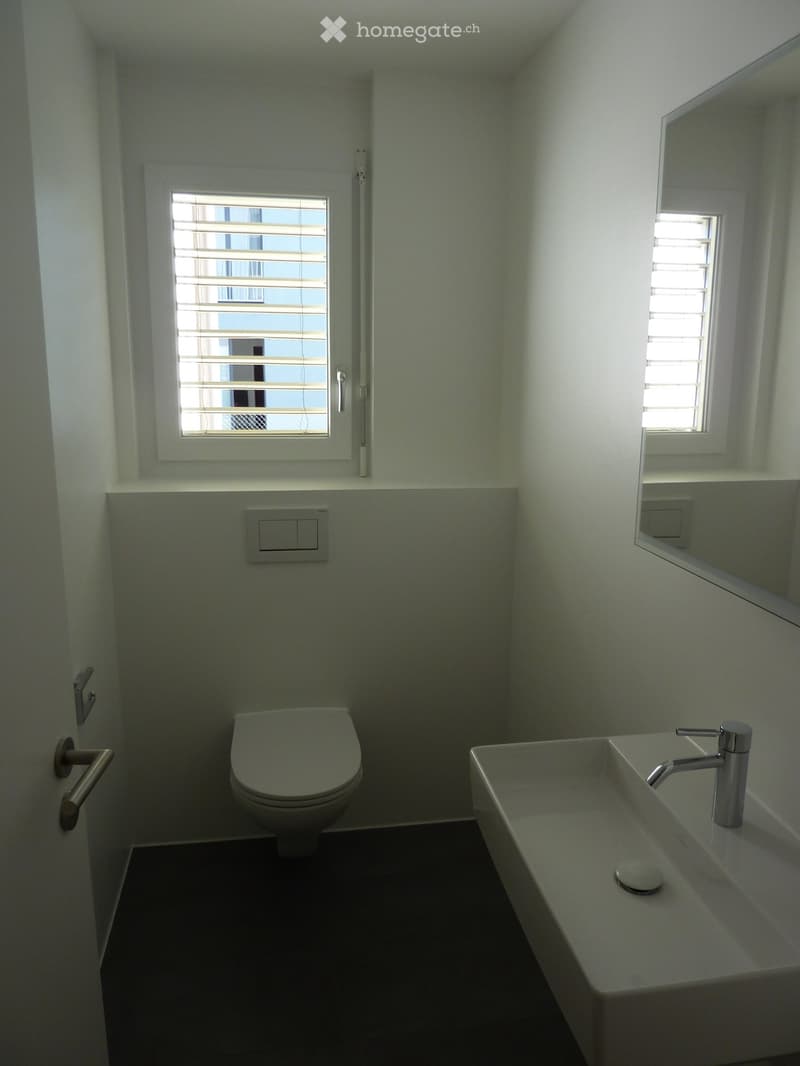 Modern bathroom with white walls, a toilet, a sink with a modern faucet, and a large mirror above the sink. The room has two windows with blinds and a door with a handle.
