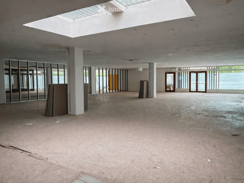 Empty, spacious room with concrete floors, large windows, and white structural columns. No furniture or equipment present.