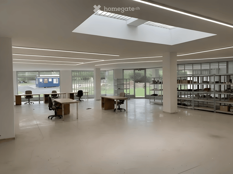 Bright, open office space with white walls, large windows, and skylights. Includes desks, chairs, and shelving units.