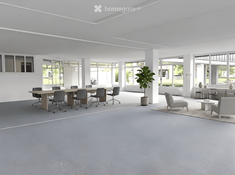 Modern, open-plan office space with a large conference table, chairs, a lounge area with a sofa and coffee table, and a potted plant.