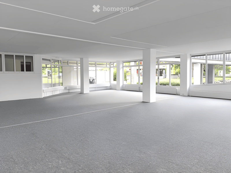 Empty room with white walls, grey carpeted floor, large windows, and white structural columns.