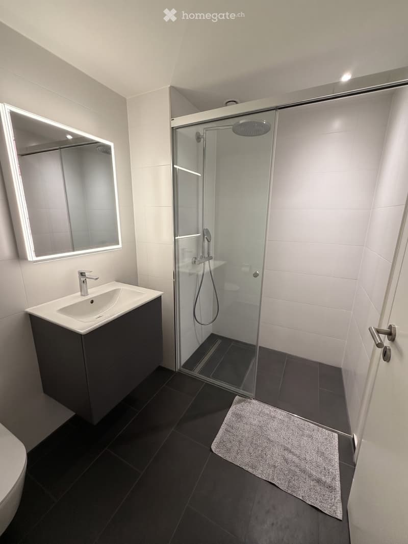 Modern bathroom with a dark-toned sink cabinet, a large mirror with LED lighting, a glass-enclosed shower, and a dark tiled floor.