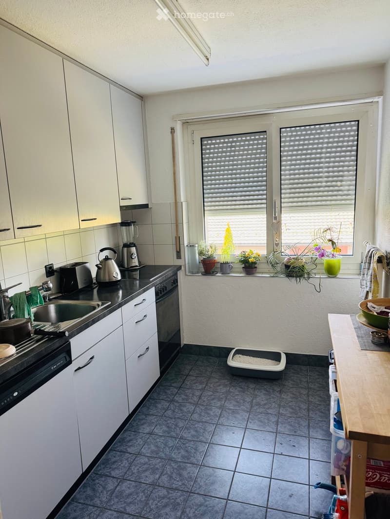 Modern kitchen with white cabinets, dark countertops, and tiled floor. Includes sink, oven, dishwasher, toaster, kettle, blender, and various small appliances. Potted plants and a cat litter box are visible.