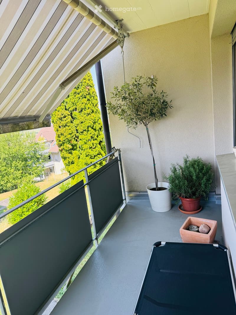 Balcony with a retractable awning, potted plants, and a lounge chair, overlooking a green landscape.