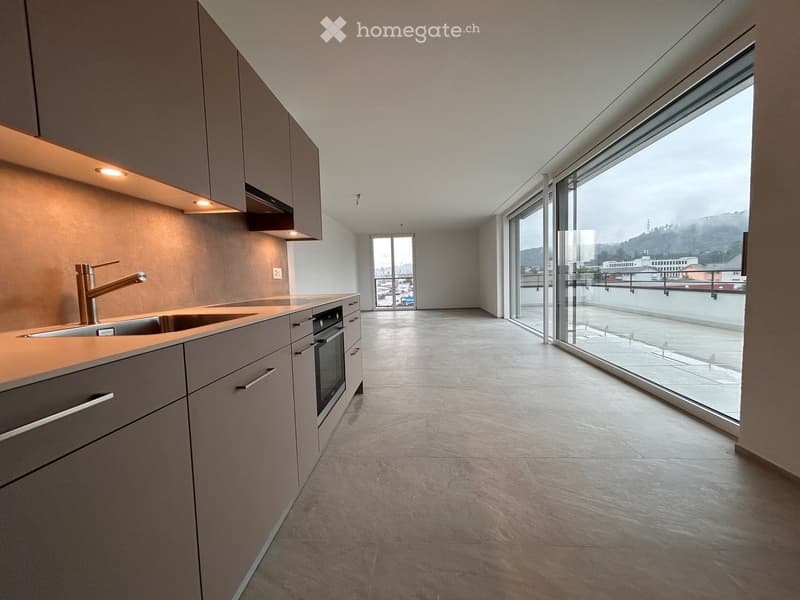 modern kitchen, stainless steel sink, built-in oven, kitchen island, large sliding doors, balcony