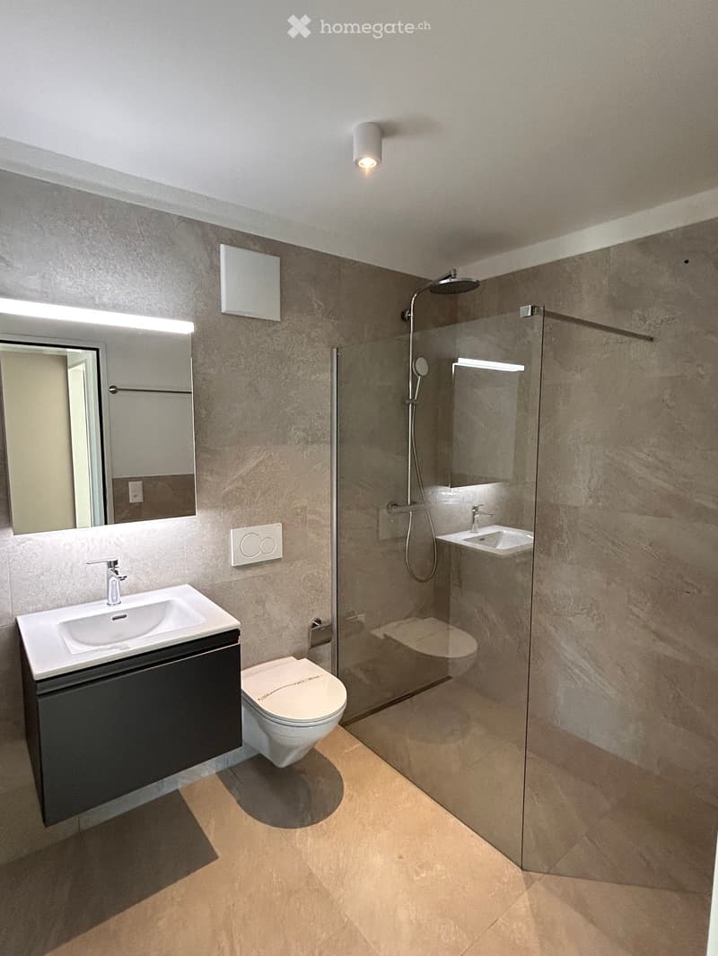 modern bathroom, glass walls, shower, toilet, sink, mirror, tiled floor