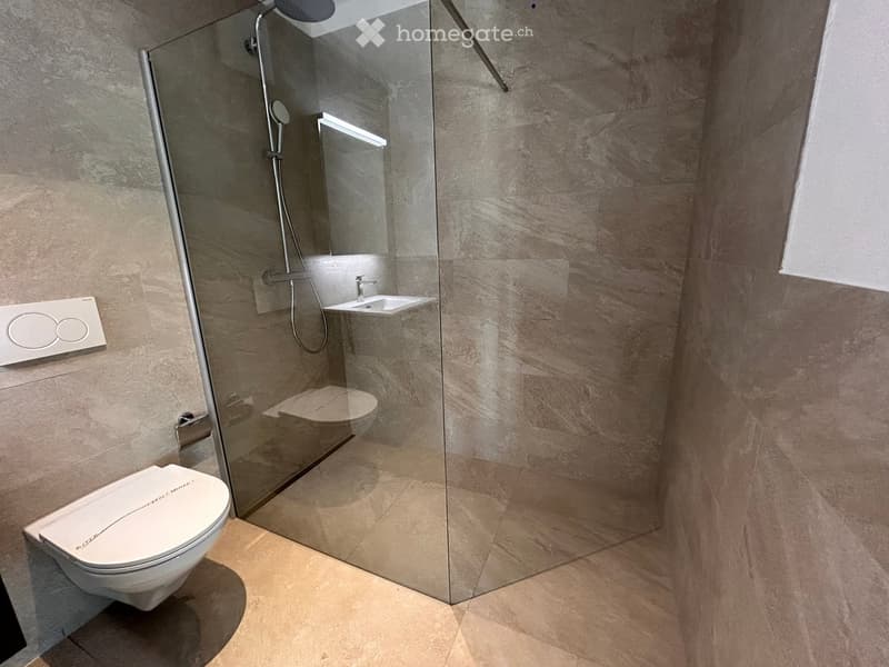 Contemporary bathroom with walk-in shower, wall-mounted toilet, and a glass partition.