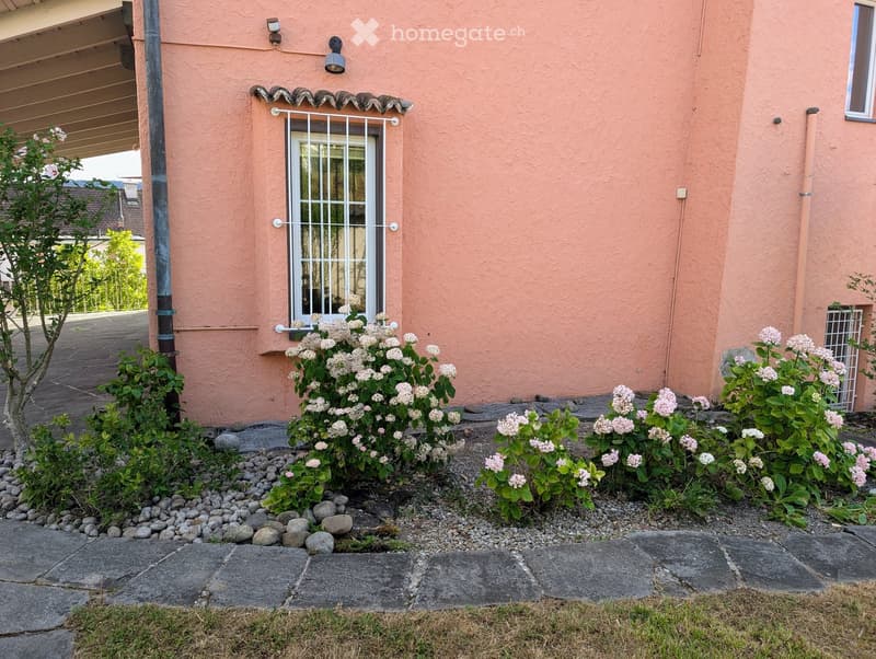 Pink house exterior with a small garden area featuring white and pink flowering shrubs, a stone pathway, and a window with a white security grate.