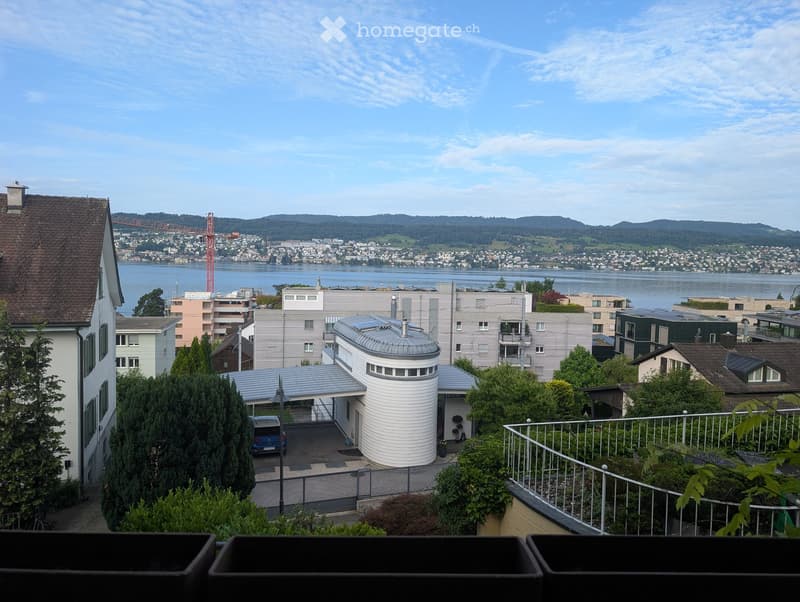 Balcony overlooking a residential area with modern buildings, a lake, and distant mountains.