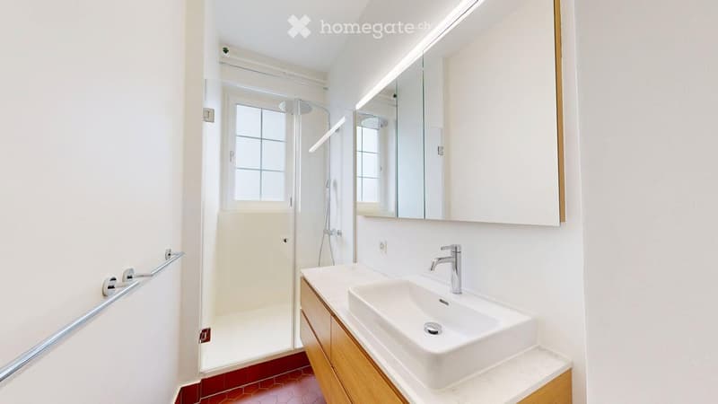 Modern bathroom with a white sink, chrome faucet, large mirror, wooden cabinet, and a glass-enclosed shower stall with red tiled floor.
