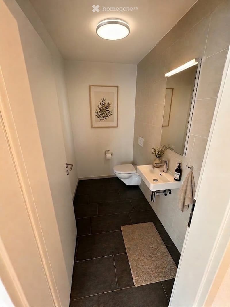 Modern bathroom with dark tiled floor, white walls, a toilet, a sink with a mirror, a framed picture, and a small rug.