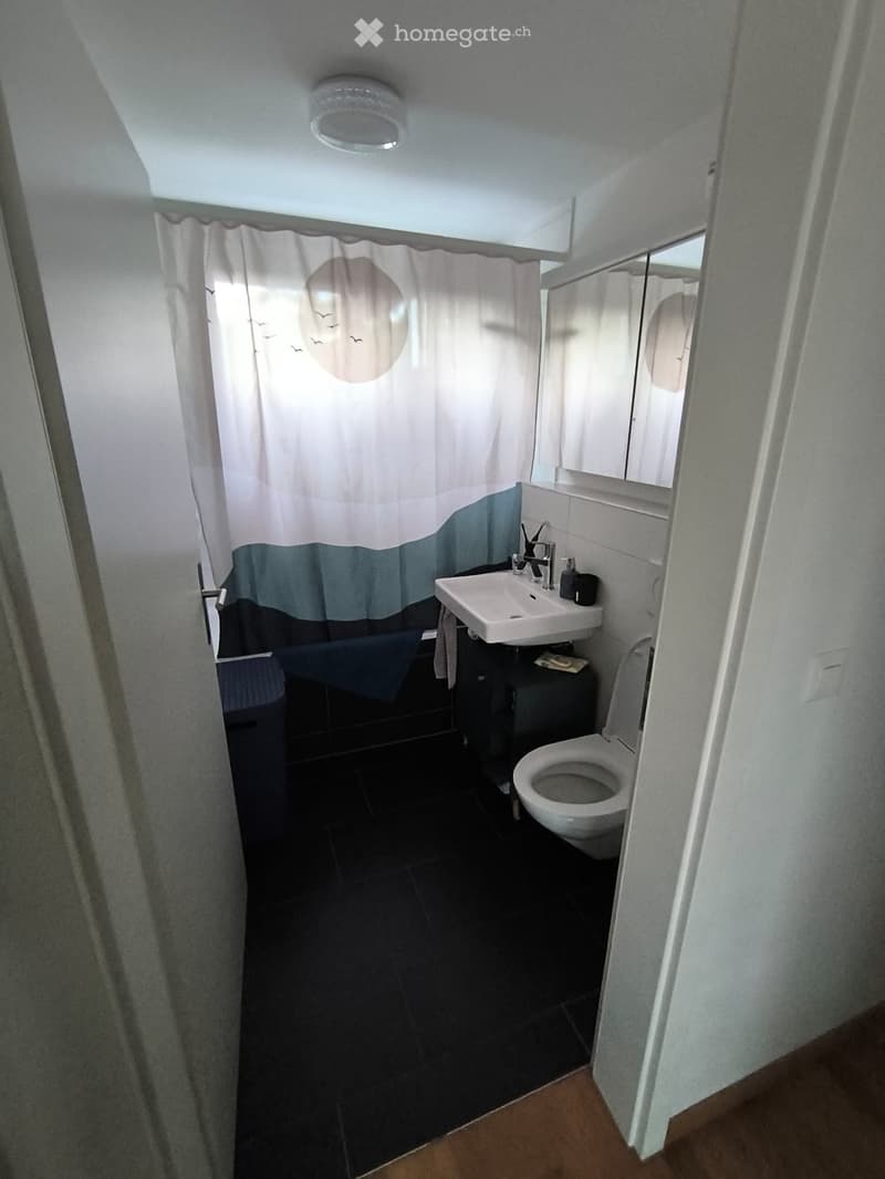 Compact bathroom with dark tiled floor, white toilet, sink, mirror, and shower curtain with birds design.