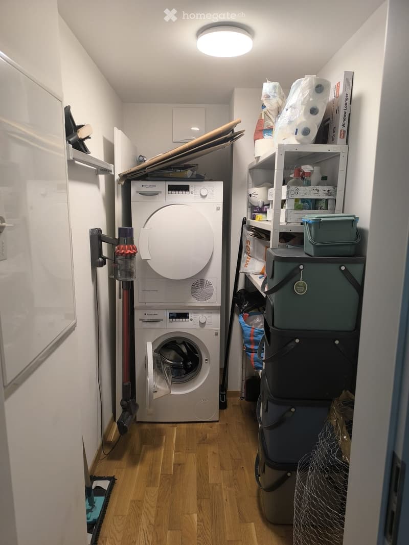 Compact bathroom with a washing machine and dryer unit, shelves with storage boxes, and a wooden floor.