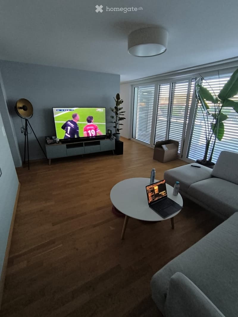 Modern living room with wooden flooring, large windows, grey sofa, coffee table with laptop, TV on stand, floor lamp, and plants.