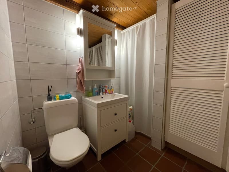 Bathroom with a toilet, sink, mirror, and cabinet. The sink has a small cabinet underneath, and a towel hangs on the wall. A shower curtain is visible on the right side.