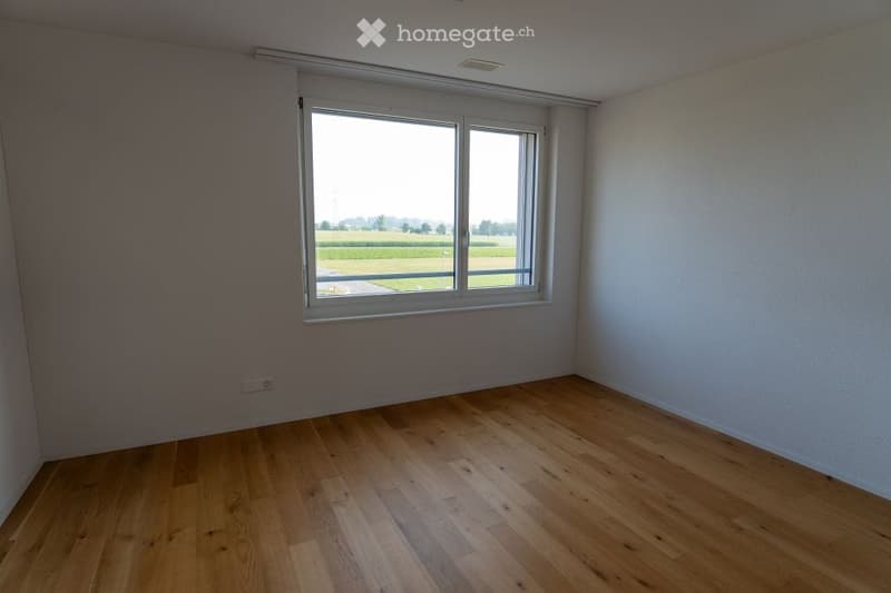 Empty room with wooden flooring, white walls, and a large window offering a view of a field.