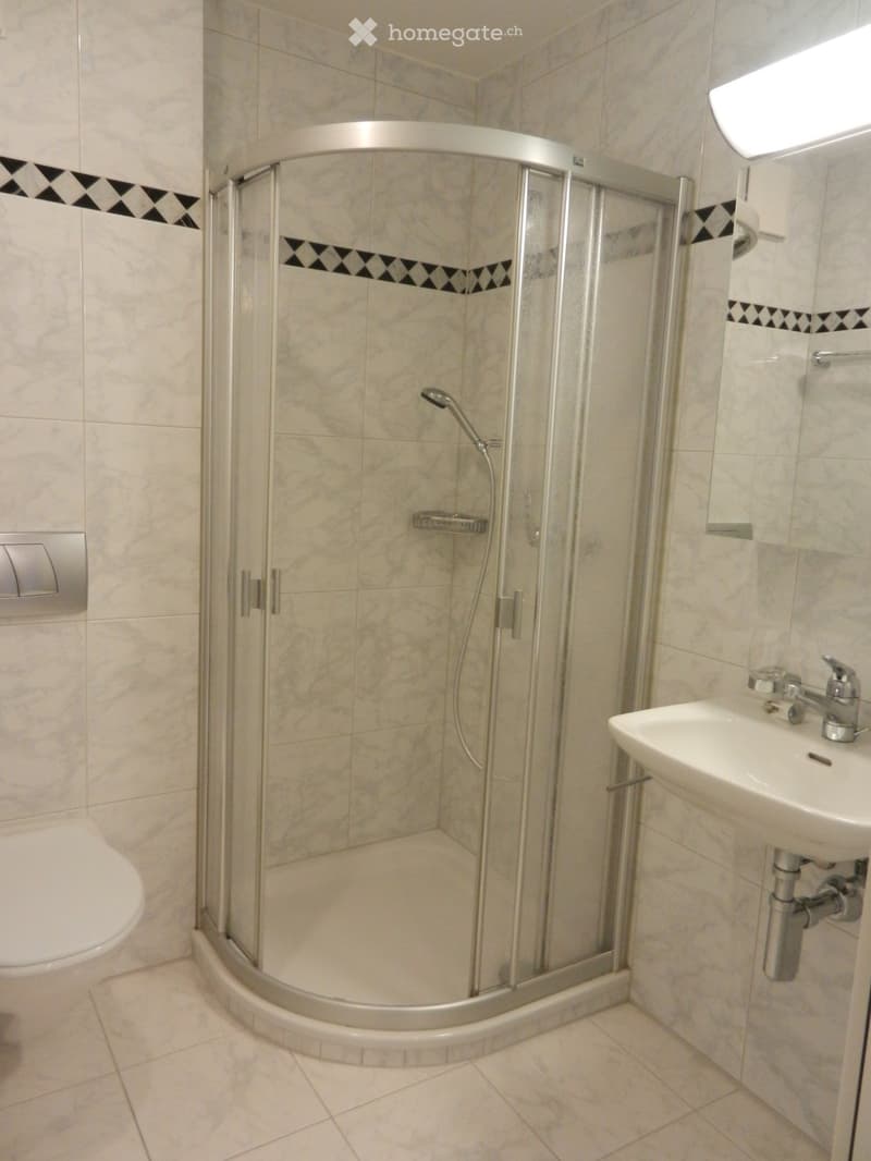 Modern bathroom with a corner shower, toilet, and sink. The shower has a glass enclosure with a silver frame and a handheld showerhead. The sink has a modern faucet and is mounted on a white countertop.